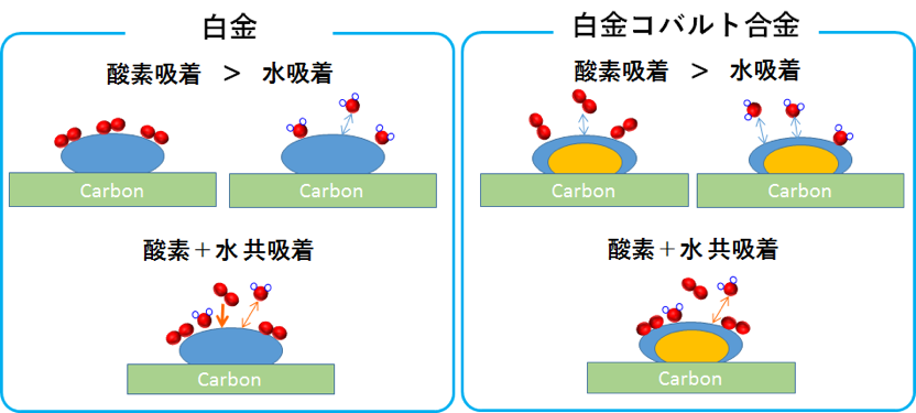 白金と白金コバルト合金における水吸着、酸素＋水共吸着の模式図