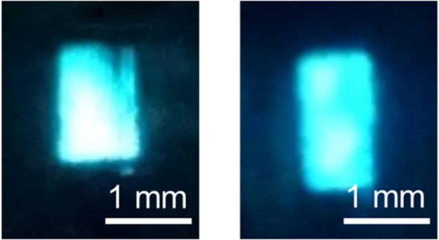 メッシュパターンITO電極を用いた液体有機EL　早稲田大学